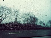 Rainonthestreet.jpg