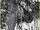 Dyatlov Pass Incident