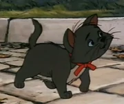 Berliozkitty.webp (7 kB) Aristocratos