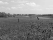 Garden Peninsula, Upper Peninsula, 1968.