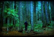 Scary-Forest-Seattle