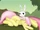 La infancia de Fluttershy