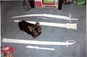 Still Life with Yorkie 2.jpg