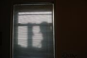 Window2.jpg