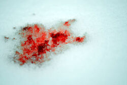 Bloody snow iii by slittomyguts-d33uuna.jpg