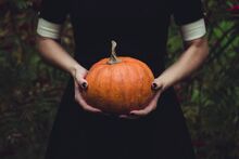 Pumpkin-1838545 1920