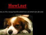 Howl.net