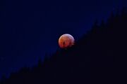 The Blood Moon Rituals