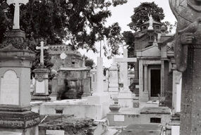 Cnv000058 jpg by z4t0d3a1c19.jpg (164 KB) Cnv000058 jpg by z4t0d3a1c19