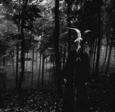 The Tale of Robert Elm