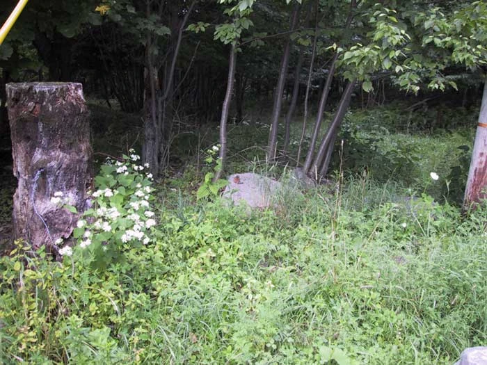 I Found a Digital Camera in the Woods Creepypasta Wiki Fandom