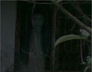 Girl-in-window