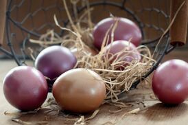 Easter-eggs-1231120 960 720
