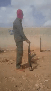 AdminsaufTrollSuche.gif