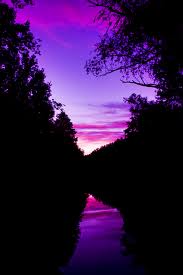 Purple Skies