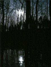 Zombie tom 2005.jpg