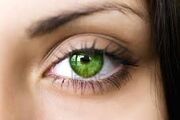 Green eyes.jpg