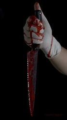 180px-Bloody knife009copy1