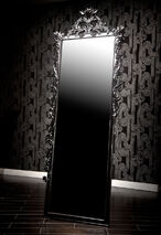 Mirror.jpg