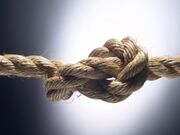 Tangled Knot.jpeg