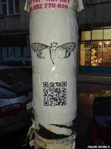 Kod QR oraz zdjęcie cykady w Warszawie, przy ul