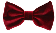 Tumblr mf7q6aShSw1rblpk3o1 500.png