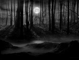 Ancient Forests