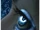 0804300224033126363.gif