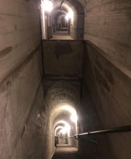 29 (used in Cuniculum Bestia)