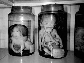 481080e8d5b2226eac729c22428fe76f--creepy-pictures-creepy-stories.jpg