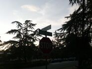 The street where I had seen the asylum on Van Ness.