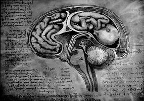 Brain fetus by aruthizar-d47sjys.jpg