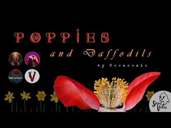 "Poppies_and_Daffodils"_Narration_2