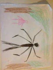Picture found at the house 