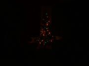 Christmas.jpg