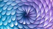 Images (22)