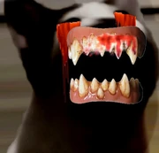 Original Creepypasta of the 2020 internet meme popcat