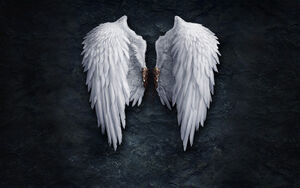 Wings.jpg