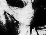 The Roswell Thesis