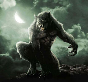 Hombre-lobo