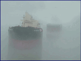 Fog