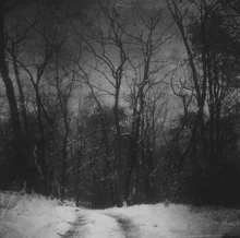 Tumblr naj8h04dG41ssvhsxo1 250