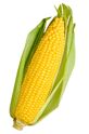 Corn.jpg