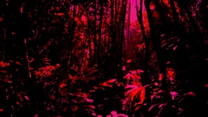 The greenhouse effect img