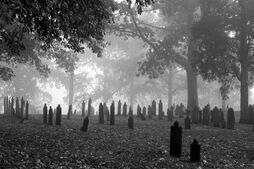 Creepycemetery