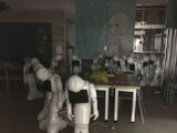 The Visitors