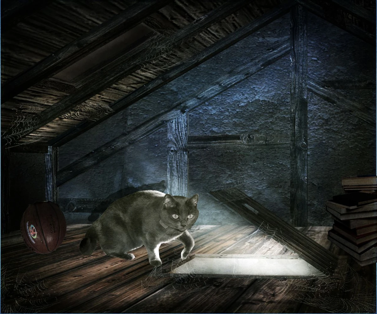 The Cat in the Attic Creepypasta Wiki Fandom