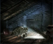 Cat in the Attic.jpg