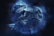 Rattlesnake-1892417 1920.jpg