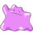 DITTO.jpg